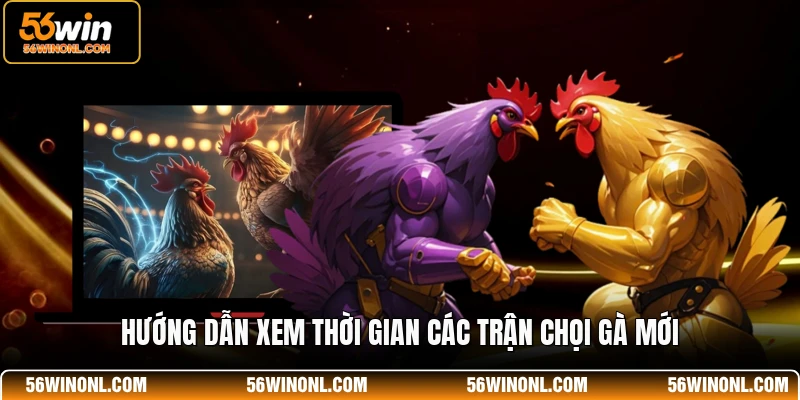 Lịch Thi Đấu WS168 - Cập Nhật Thời Gian Đá Gà Mới Nhất 3 Hướng dẫn xem thời gian các trận chọi gà mới