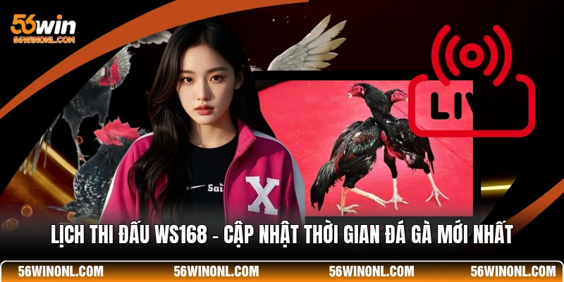 Lịch Thi Đấu WS168 - Cập Nhật Thời Gian Đá Gà Mới Nhất 1 Lịch Thi Đấu WS168 - Cập Nhật Thời Gian Đá Gà Mới Nhất